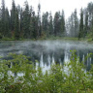 Meet your Posher, Ben